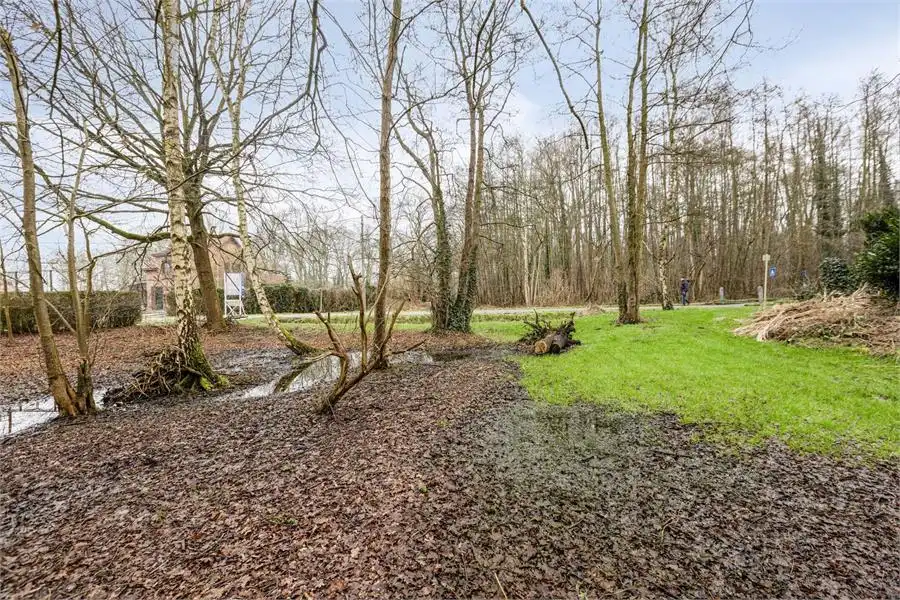 Bouwgrond te koop in Tessenderlo-Ham op perceel van 16a 76ca foto 8