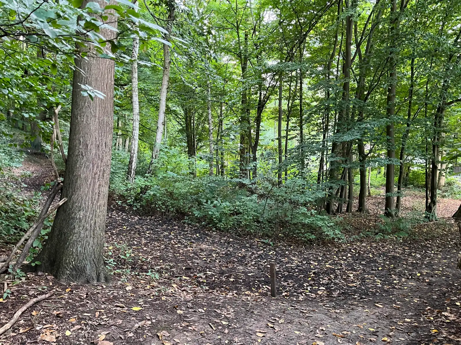 Grond te koop foto {{pictureIndex}}