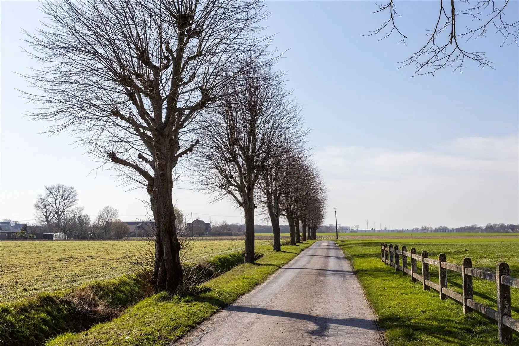Rustig gelegen bouwgrond van 954 m² met landelijk uitzicht foto 9