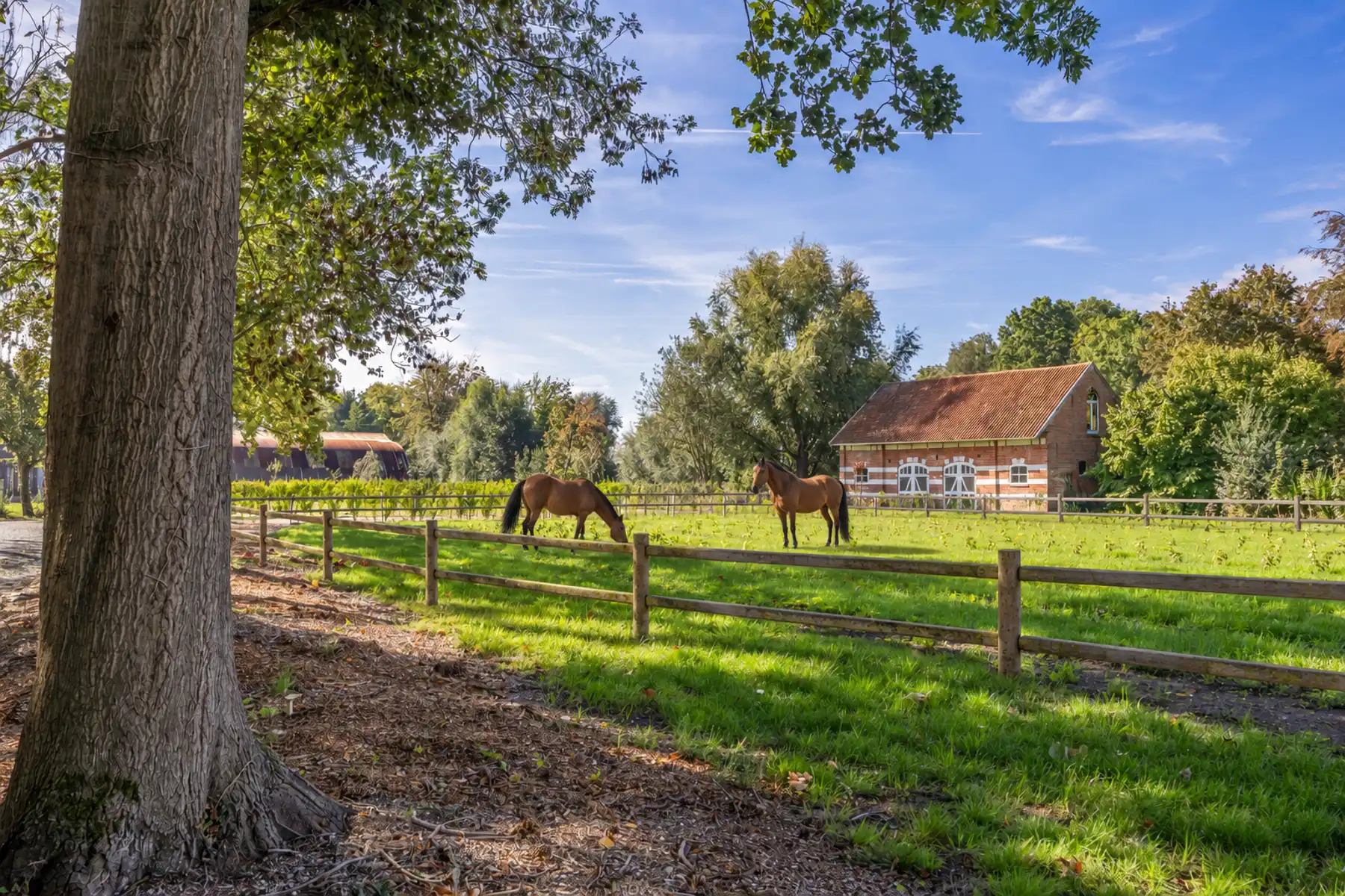 Karaktervol landhuis op een groen domein van ca. 3 ha foto 33