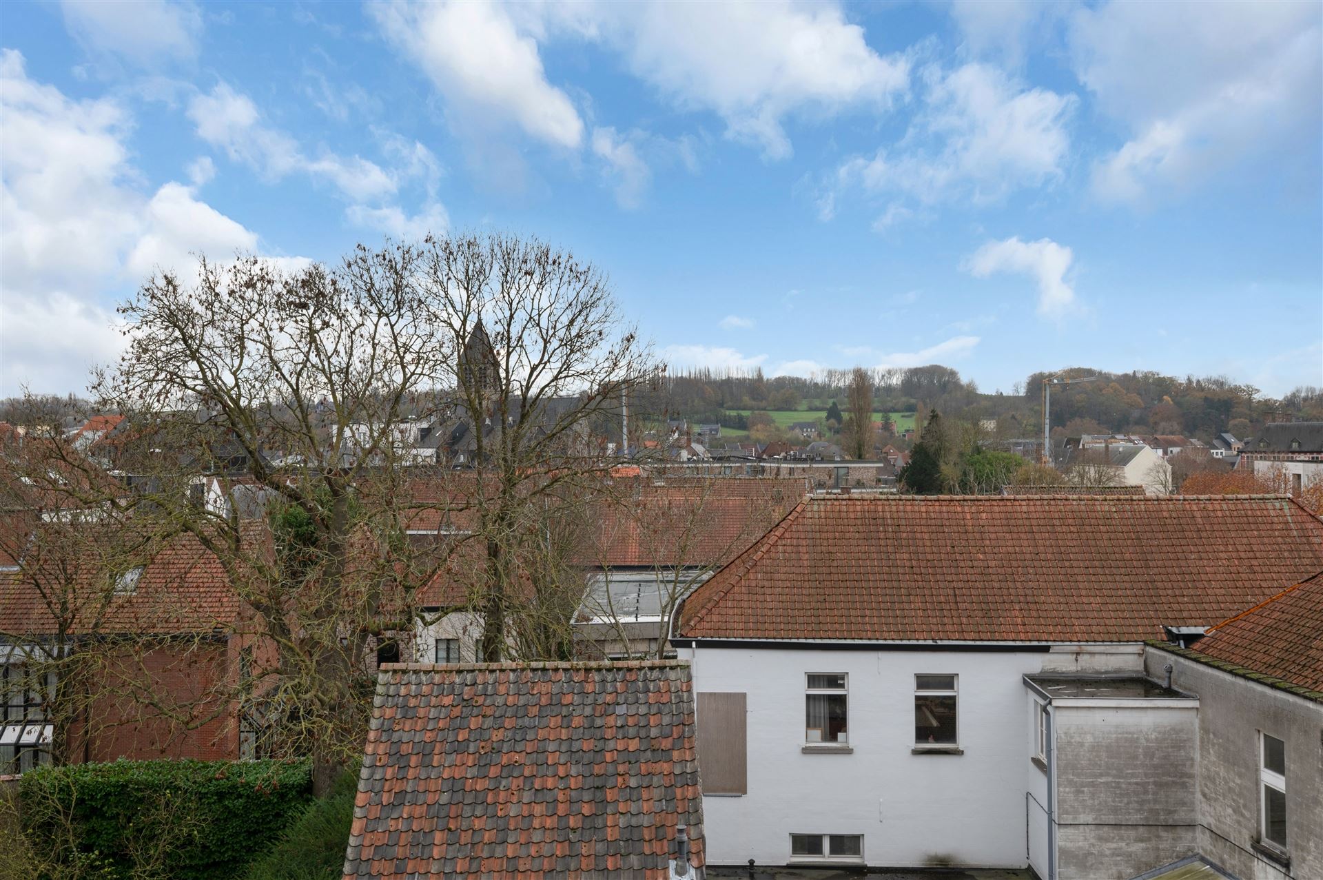 Historisch handelspand op de markt te Oudenaarde foto 20