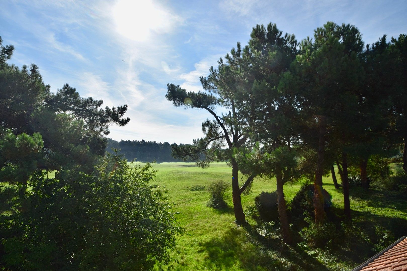 Te renoveren charmante koppelvilla gelegen in een paadje met zicht op de Royal Zoute Golf Club. foto 3