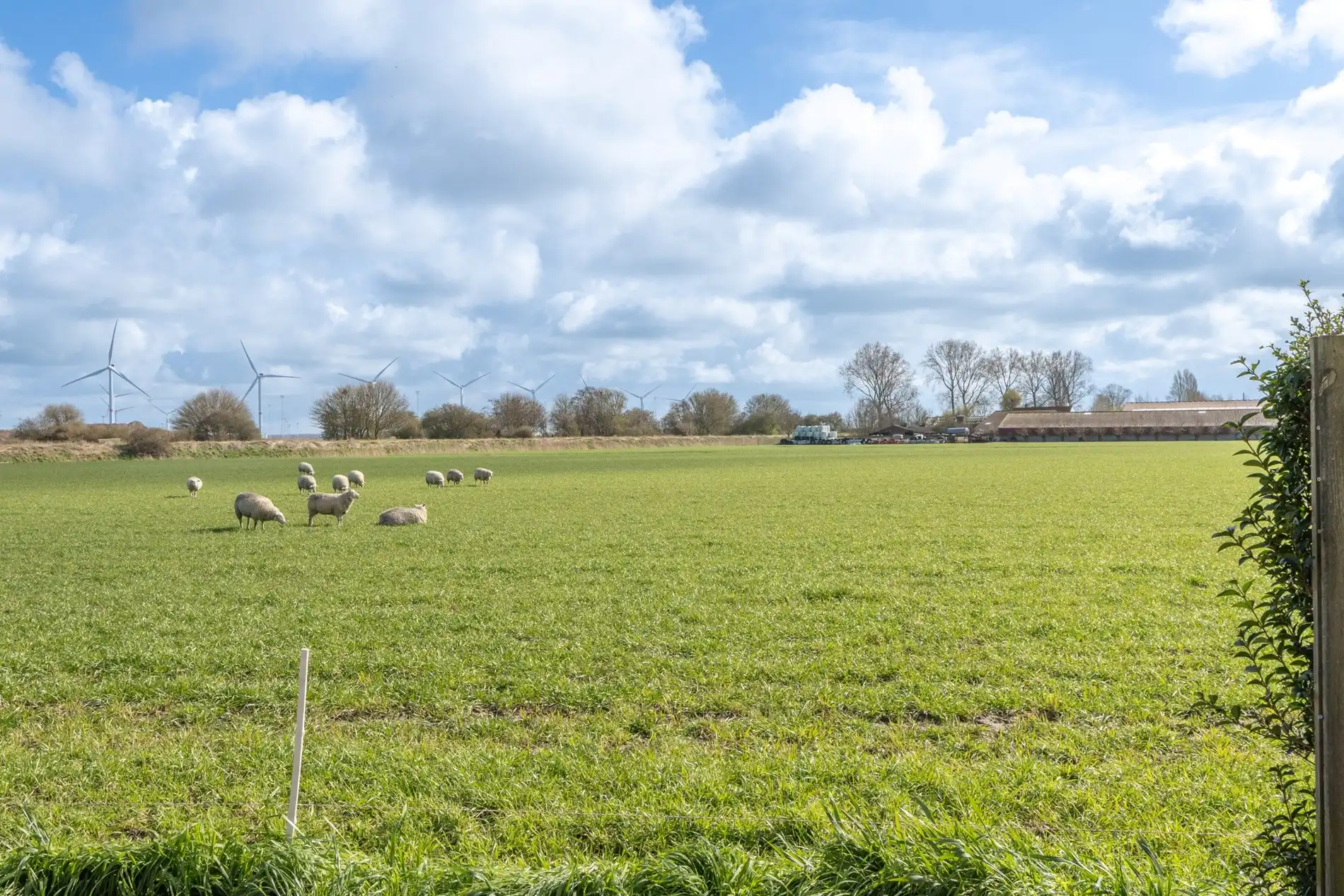 Rustig gelegen bungalow op 10 minuten van Brugge foto 5