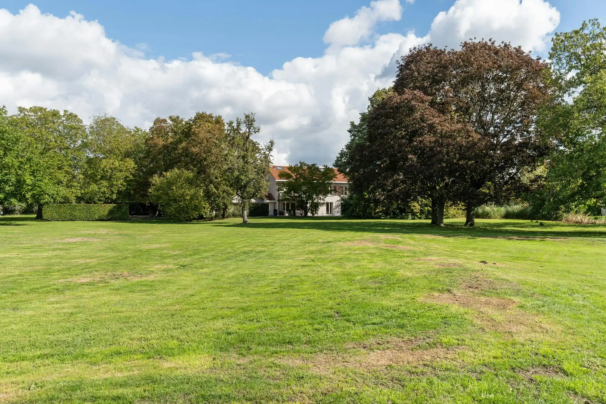 Exclusief landhuis met parkdomein in Aldeneik foto 2