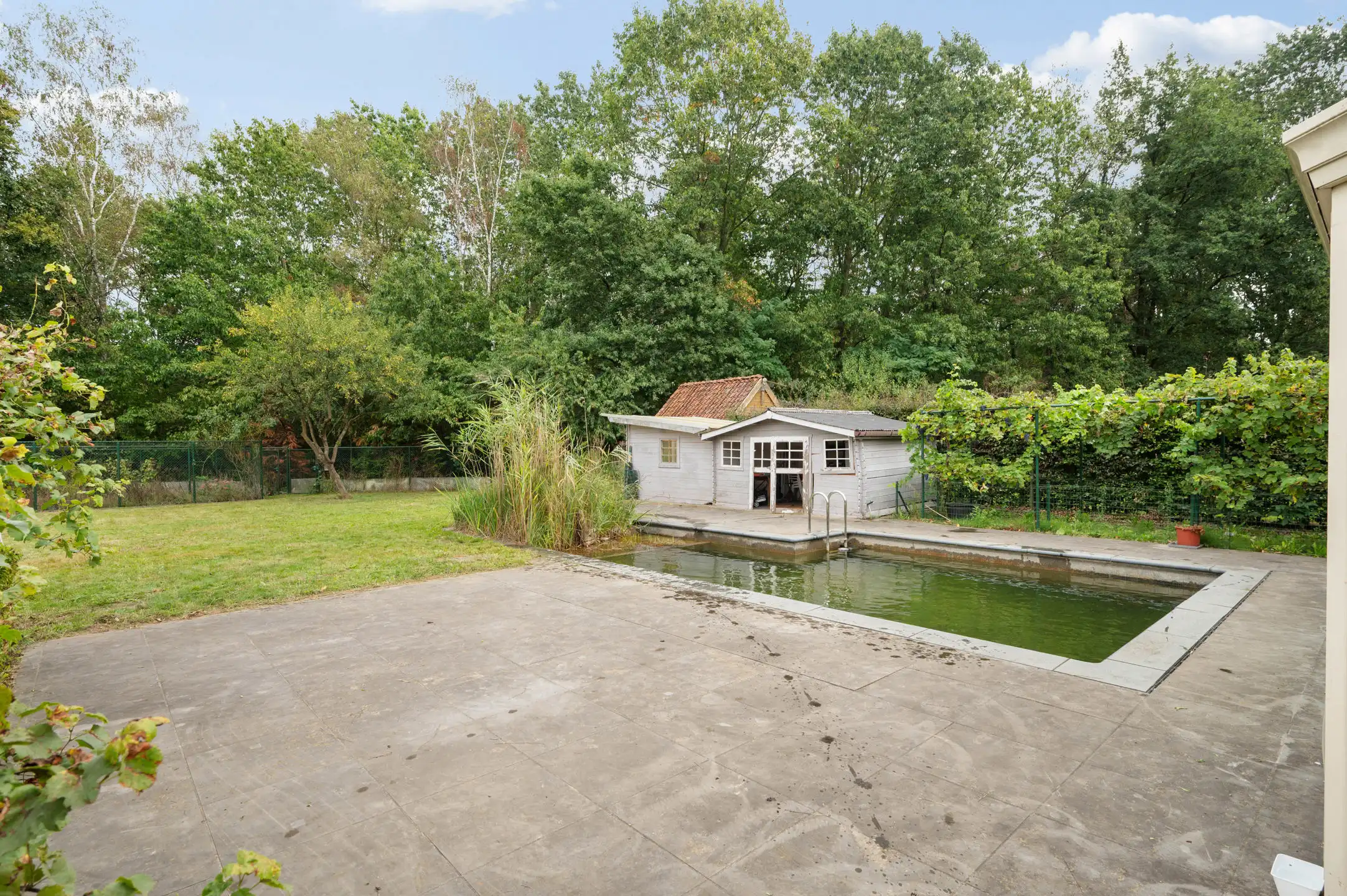 Huis te huur foto 15