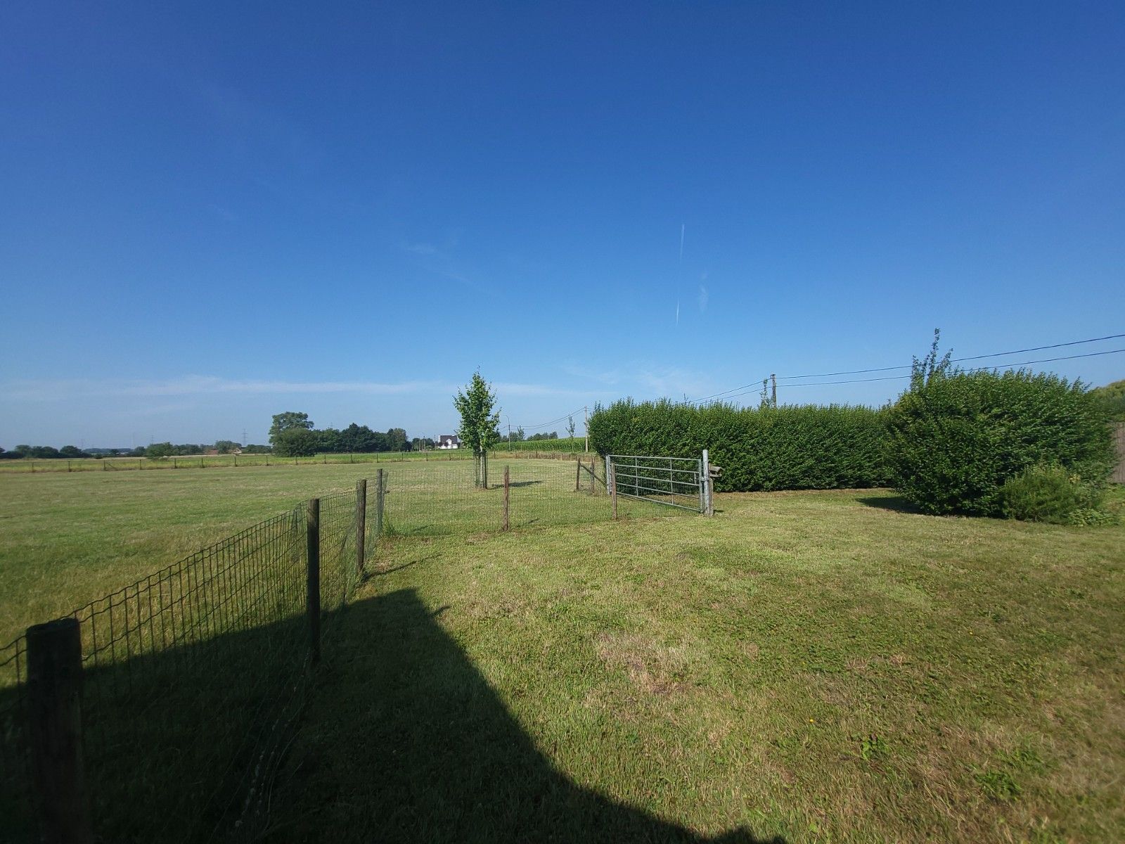 Alleenstaande woning met grote weide en stalling foto 21