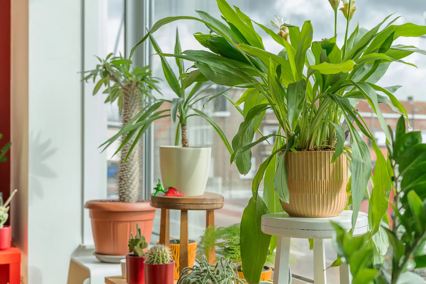  Instapklare woning,: garage,3 slaapkamers,tuin en terrassen foto 22