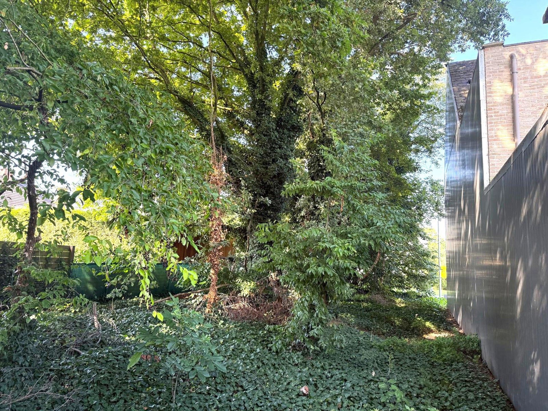 Bouwgrond voor HOB foto 5