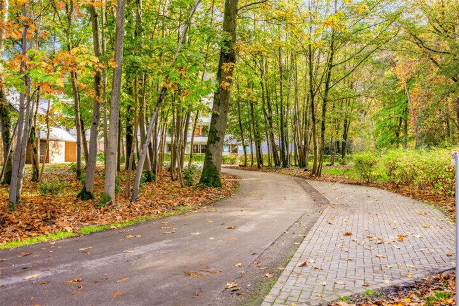 Vakantie-appartement in domein Hengelhoef foto 23