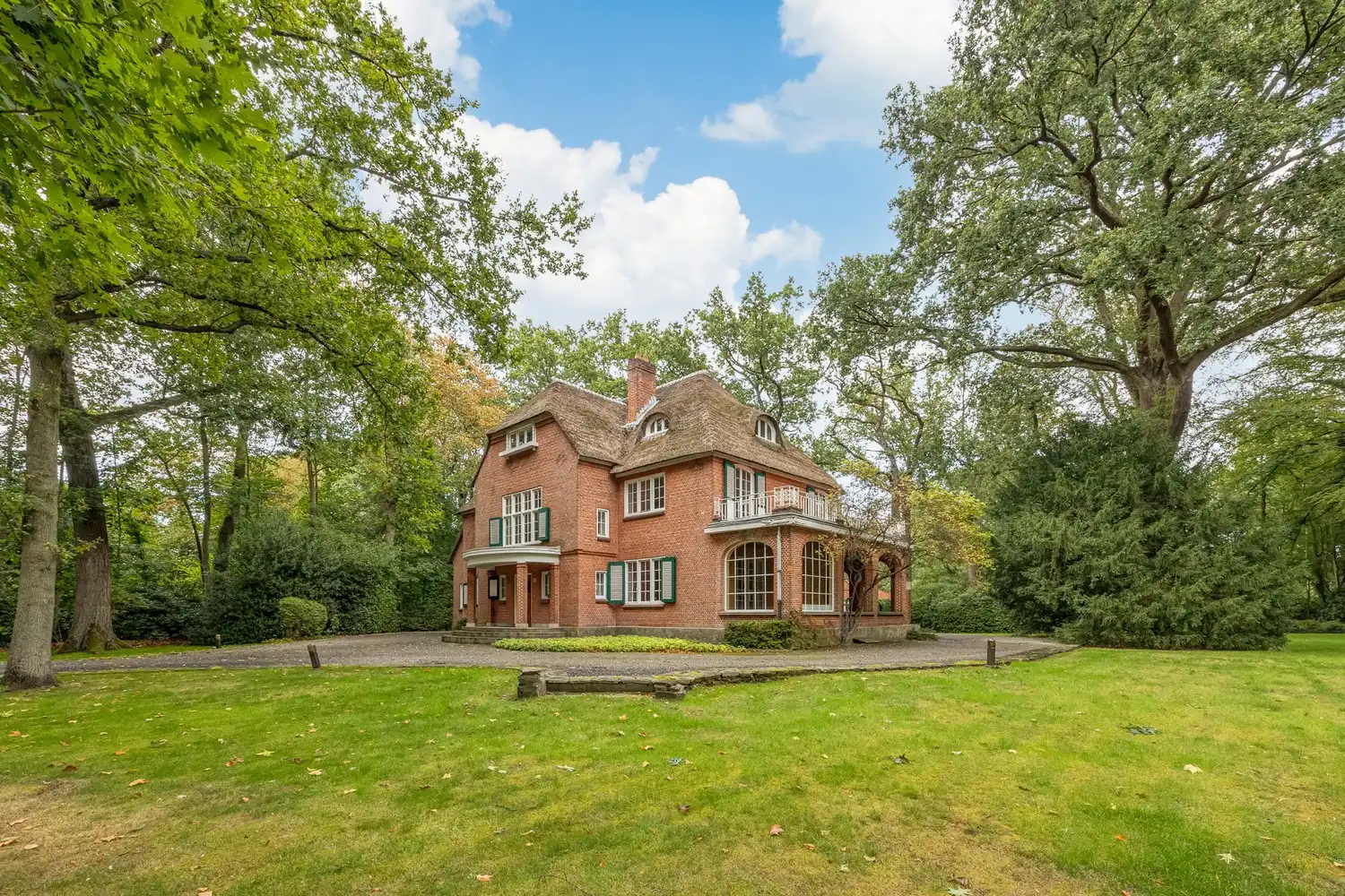 Karaktervolle te renoveren rietgedekte villa op een uitzonderlijk parkdomein van 9127 m² in Vriesdonk foto 3