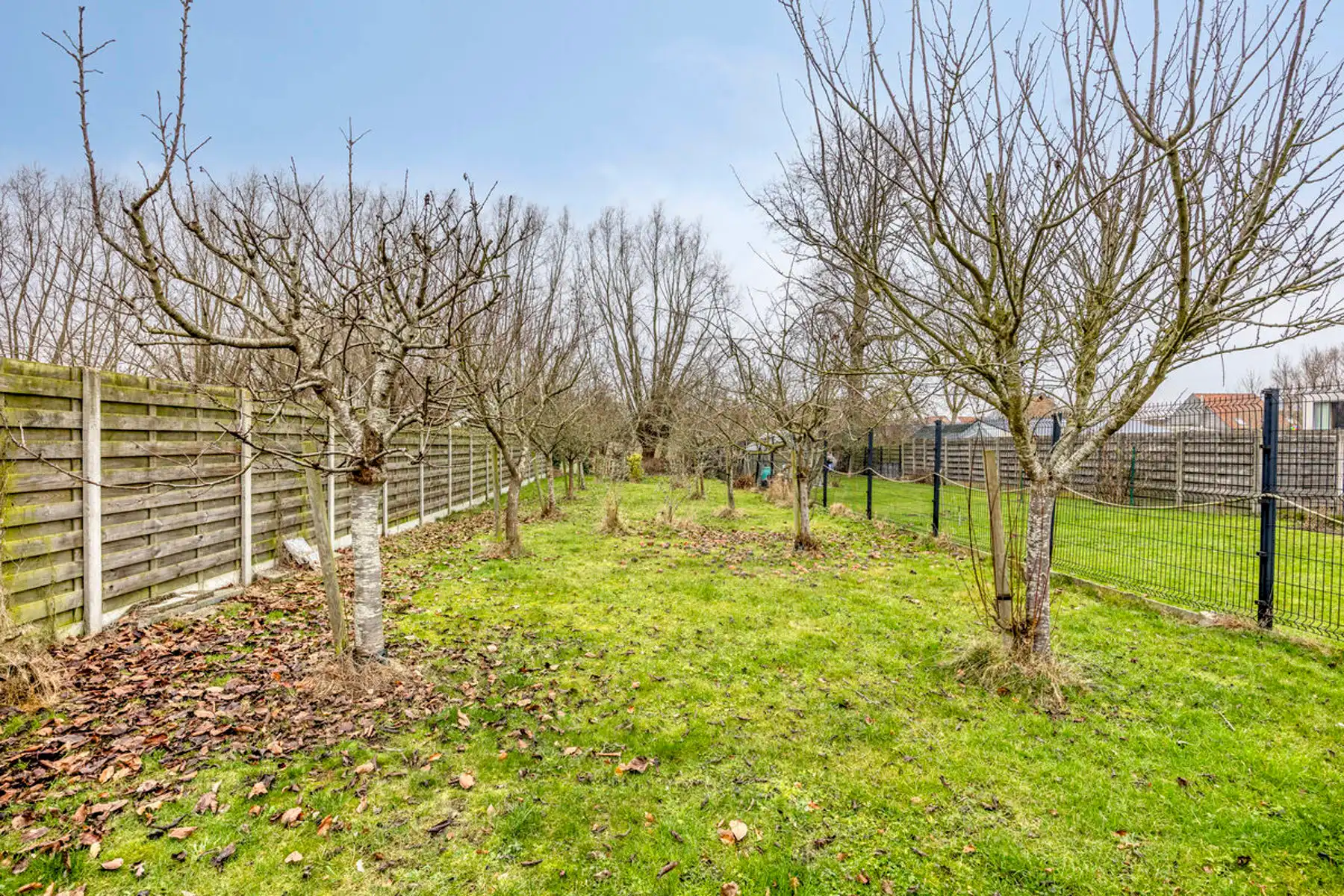 Instapklare, volledig gerenoveerde woning in het landelijke Mollem! foto 28
