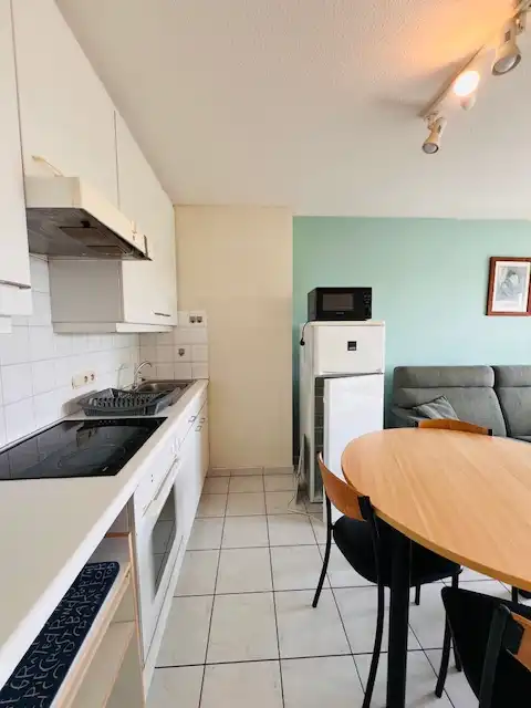 Appartement met 1 kamer en zijdelings zeezicht en duinenzicht foto 8