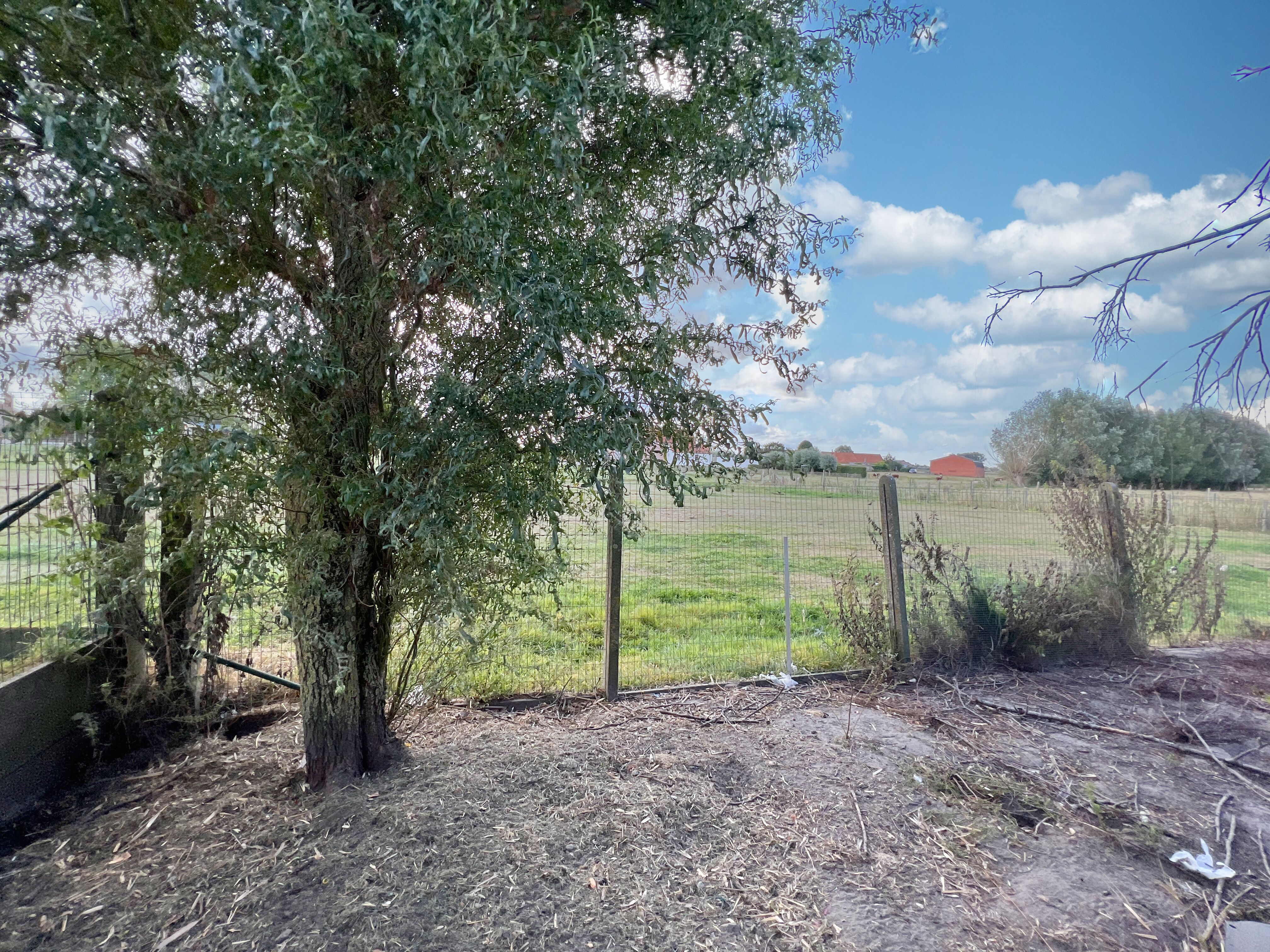 Instapklare, lichtrijke woning (4 slpks) + zonnige tuin foto 18