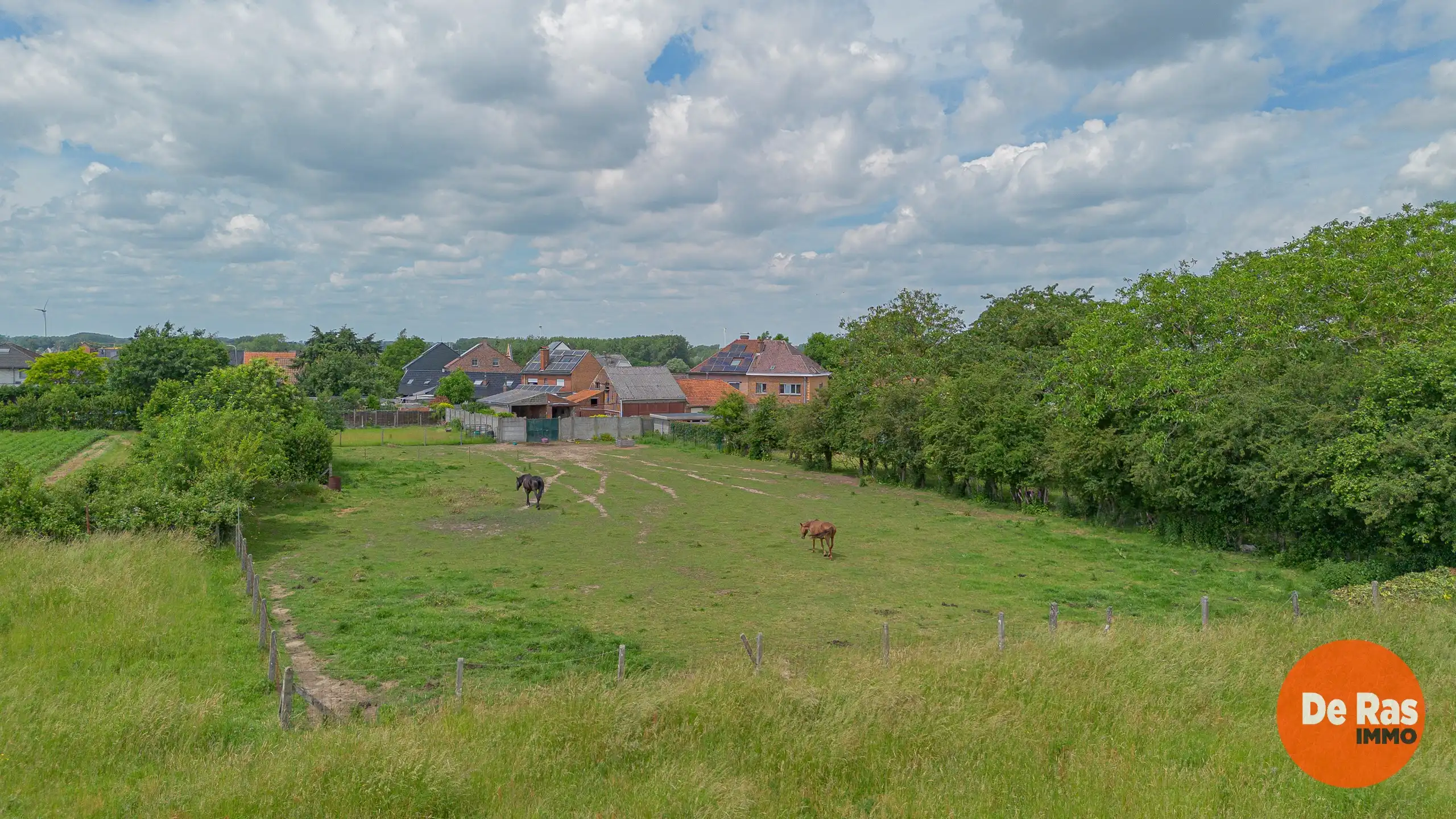 LIEDEKERKE – Gezinswoning met weide en loodsen op 30a 25ca foto 28