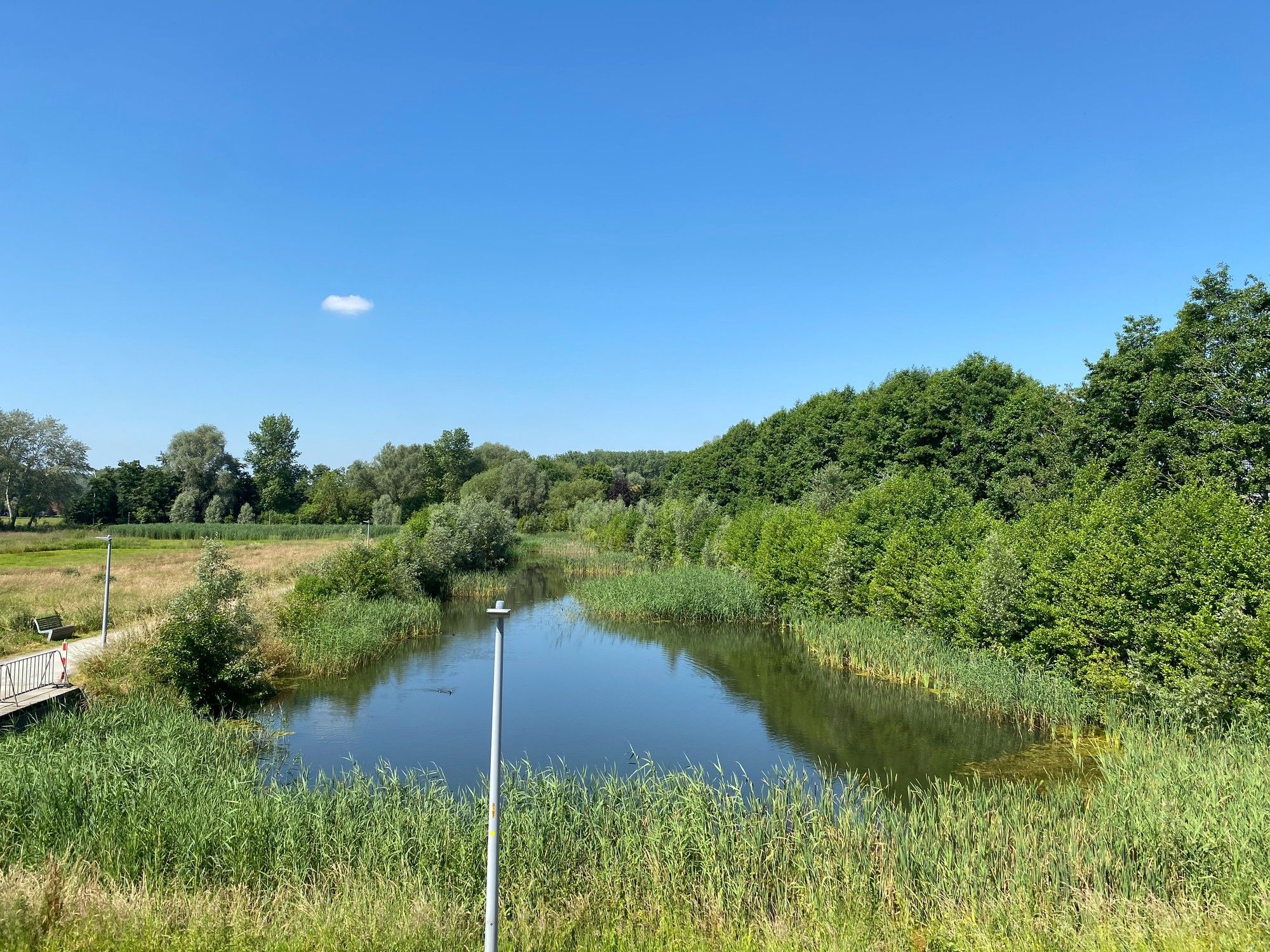 Nieuwbouw appartement met zicht op natuurreservaat foto 7