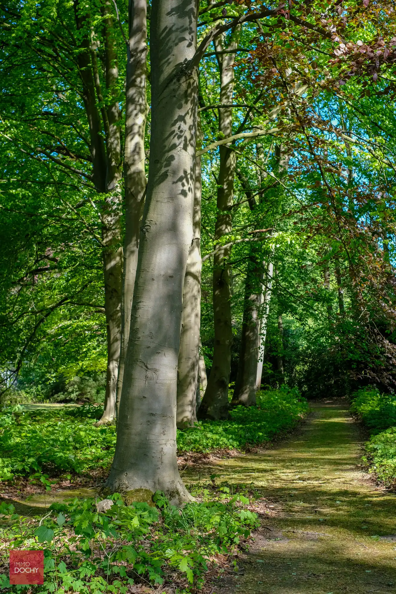 Uniek domein met ruime villa in prachtige parktuin op 2,7ha foto 13