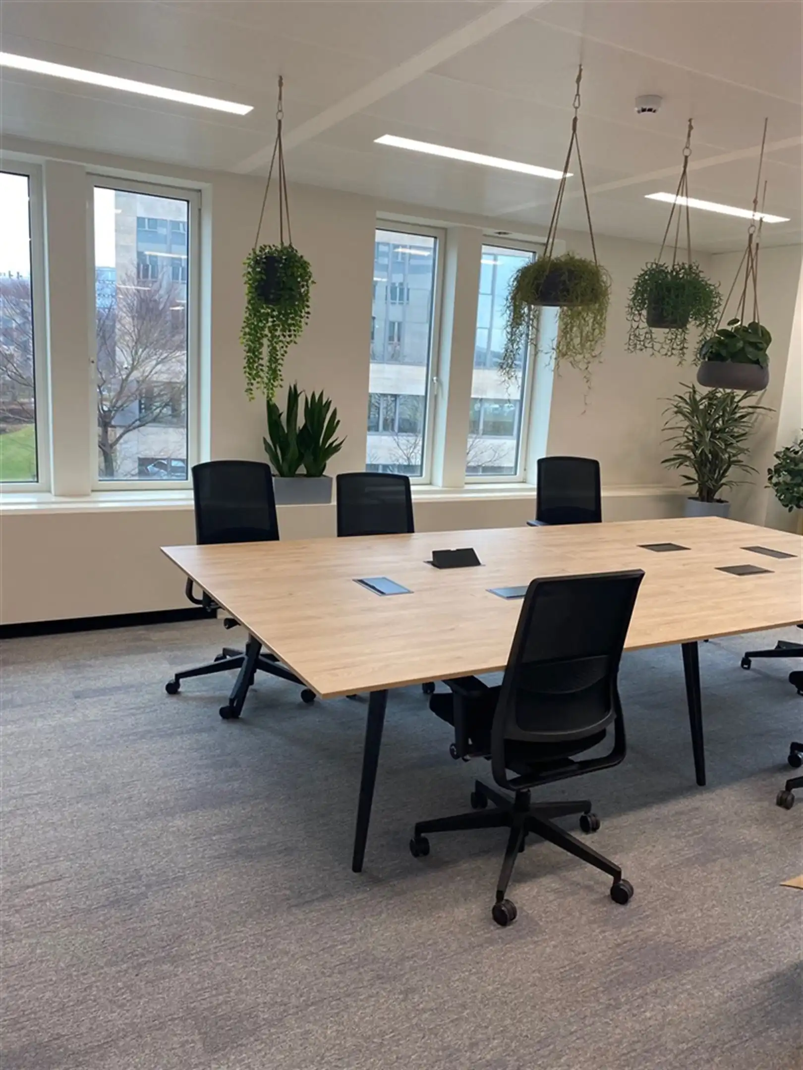 TWIN SQUARES - 984m² instapklaar foto 21