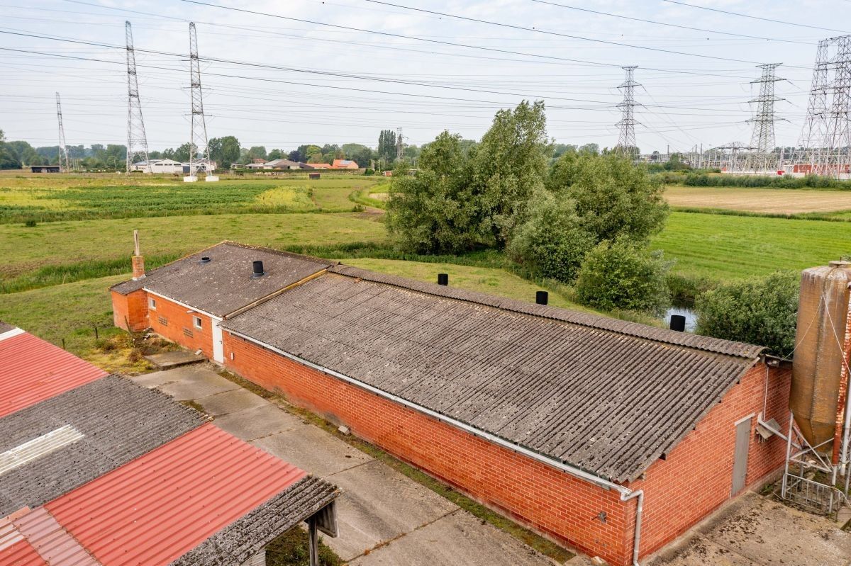 Centraal gelegen hoeve te koop te Kruibeke (Bazel) op circa 1 ha foto 9