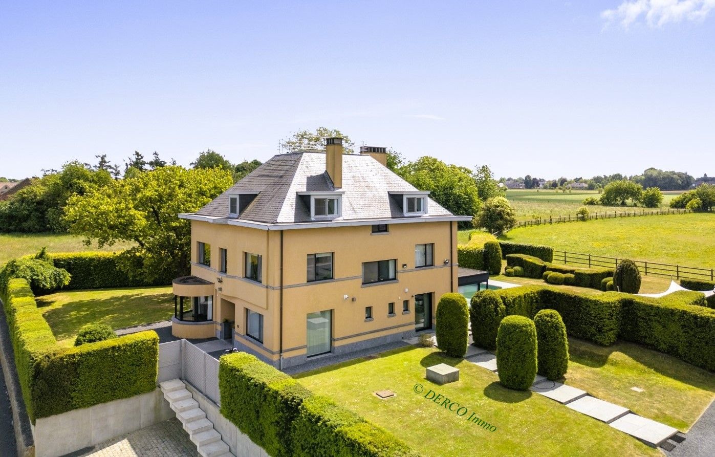 uniek GEHEEL van topklasse VILLA  met een afzonderlijk historisch MOLEN-complex (kantoren / eventlocatie) foto 3