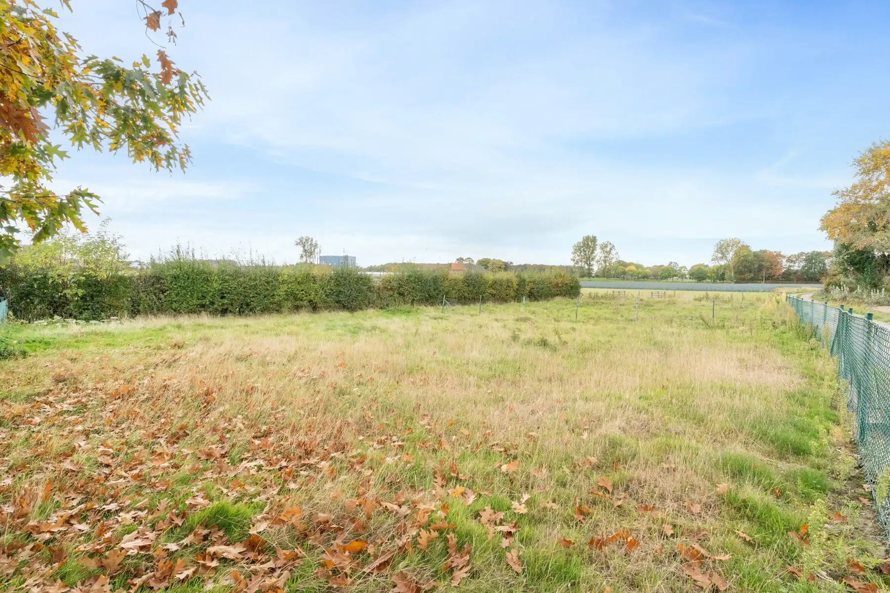 Landhuis met 2 magazijnen, rustig gelegen op 5.388 m² foto 34