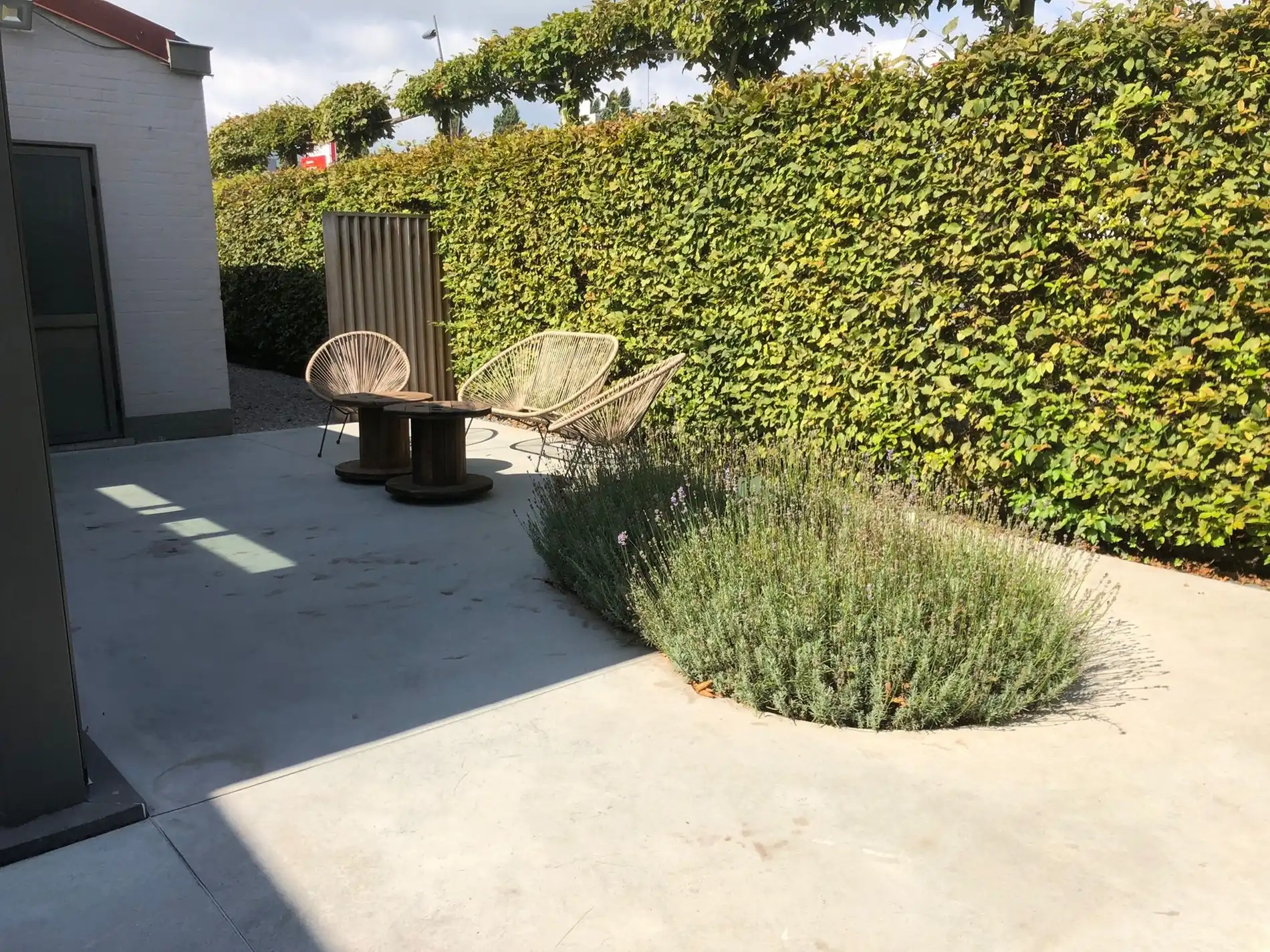 Alleenstaande woning met 5 slaapkamers en diepe tuin te Zarren foto 4