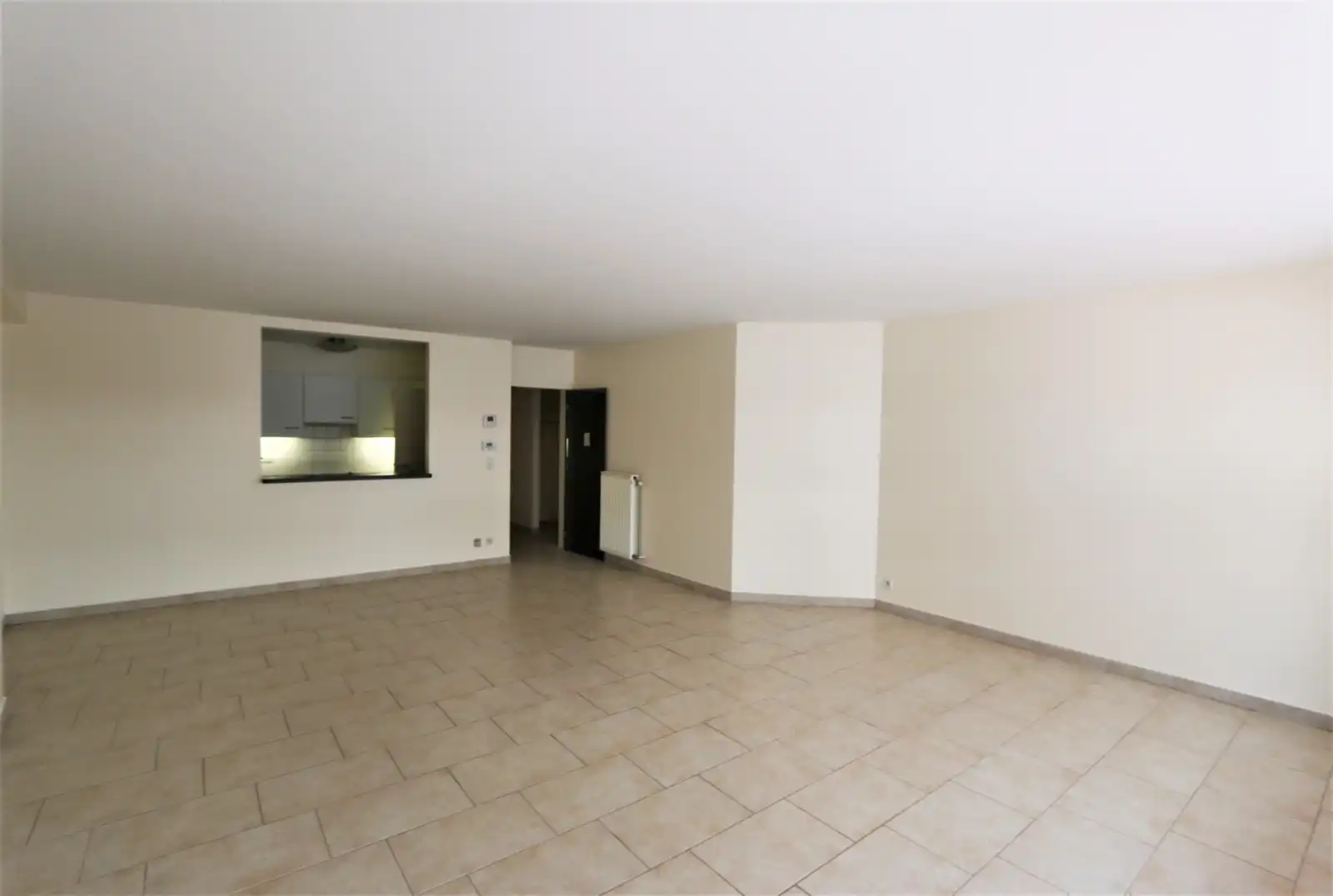 Ruim woon-appartement op 2 stappen van het Rubensplein. foto 5