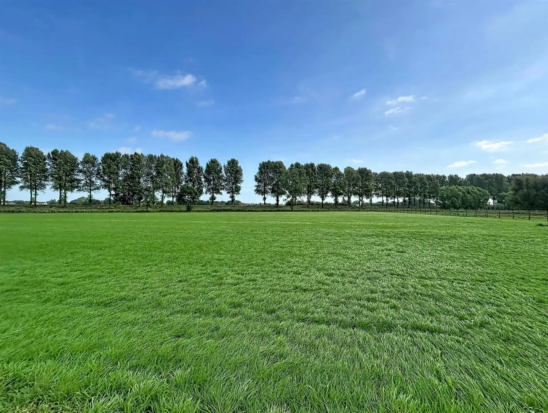 Energiezuinge open bebouwing met 5 slaapkamers, magazijn, zwemvijver en poolhouse op perceel van 1188m² foto 5