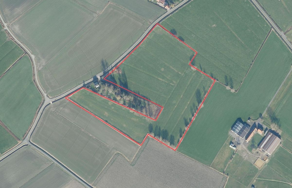4 ha 40 weide te koop te Zuienkerke foto 1