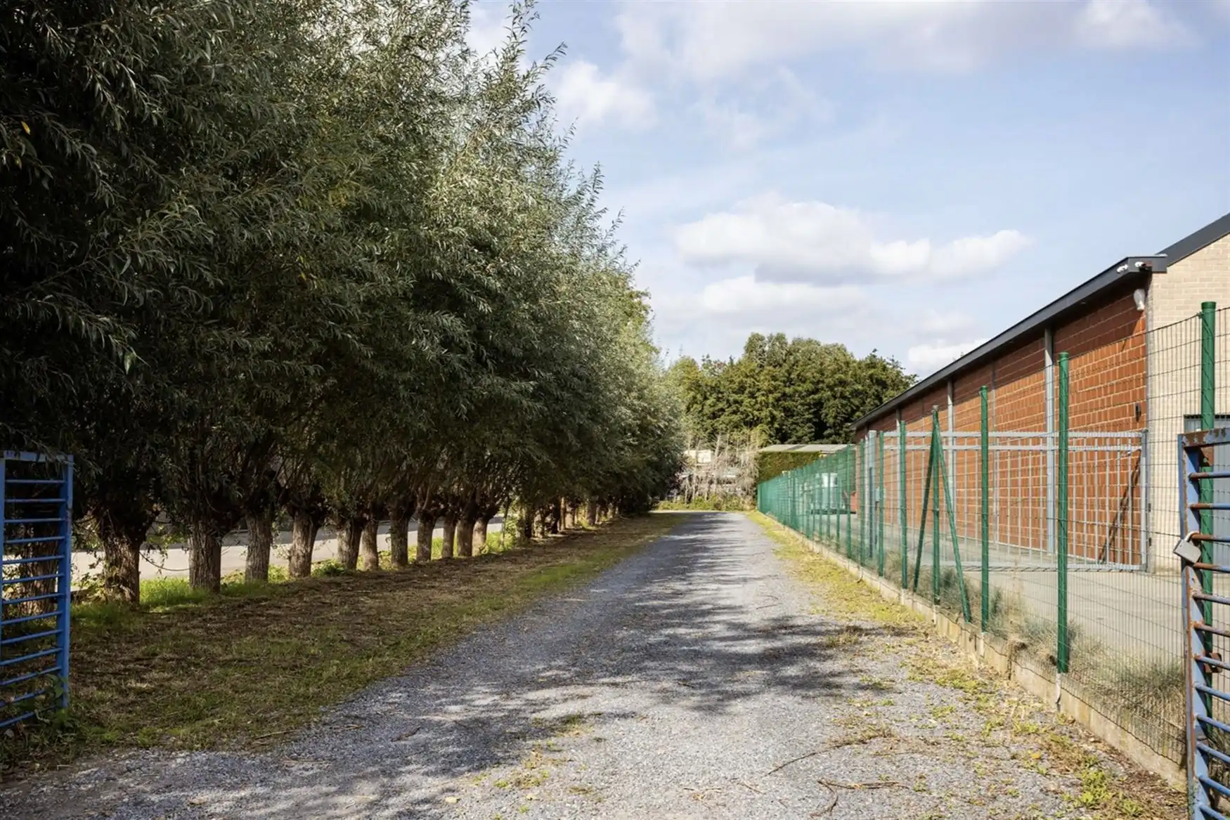 Loods van 240 m² in een groene oase van 5.236 m² foto 9
