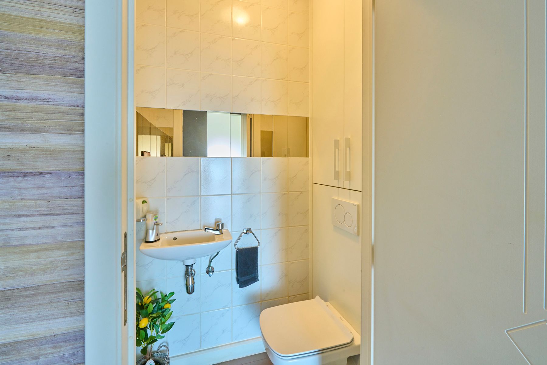 Exclusieve woning met handelzaak,appartement, zwembad en lift. foto 23