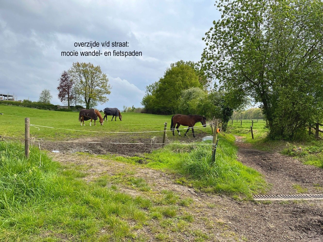 zeer rustige ligging vlakbij MEERDAALWOUD foto 5