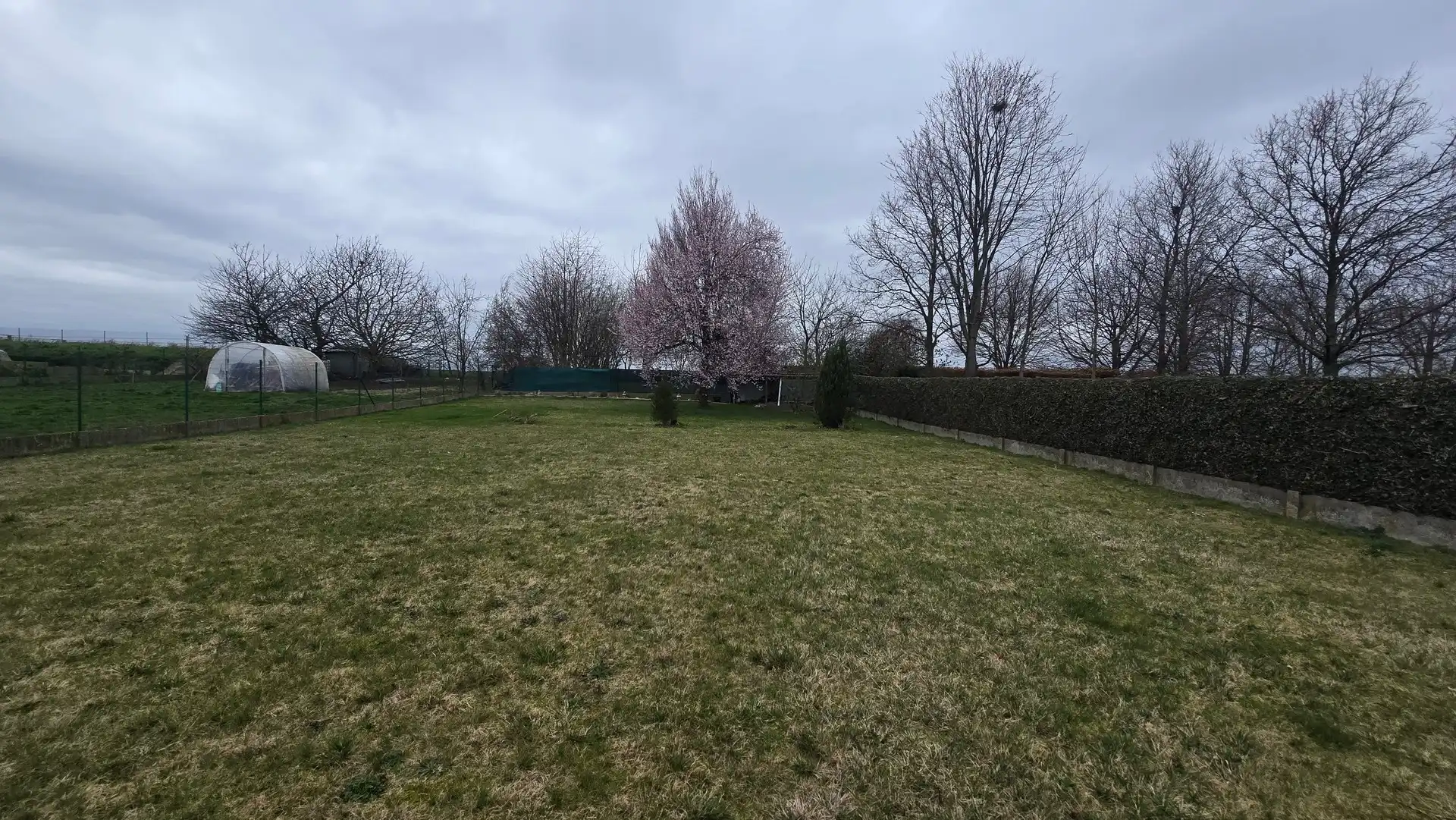Huis foto 62