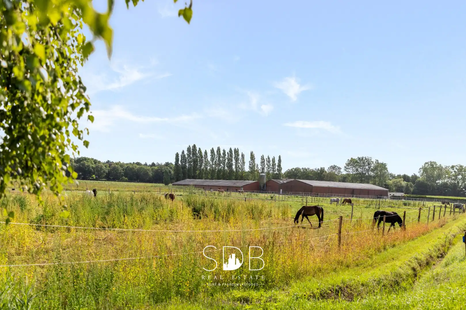 Boerderij met paardenfaciliteiten en graslanden op 14.490m² foto 22