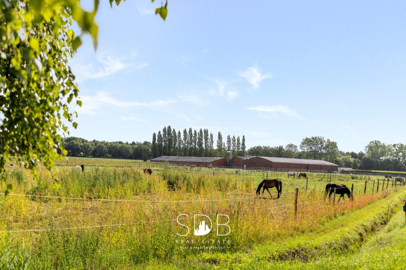 Boerderij met paardenfaciliteiten en graslanden op 14.490m² foto 22
