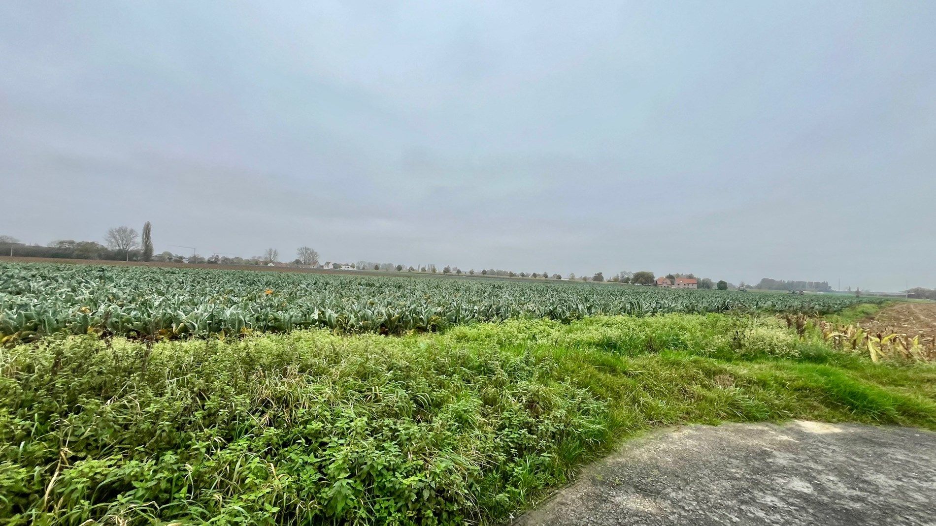 Landelijke woning met 2-3 kamers oprit en tuin foto 6