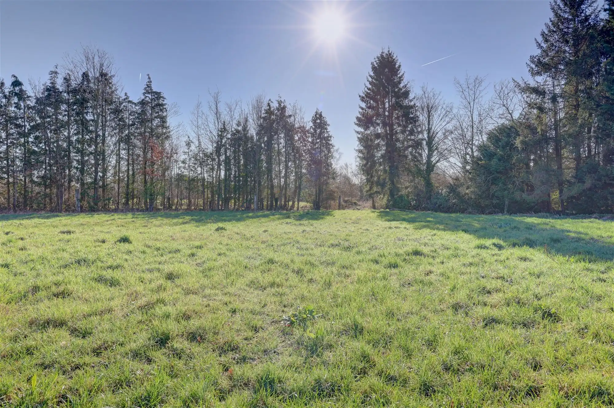 Idyllische paardenweide / bosgrond in Bonheiden foto 6