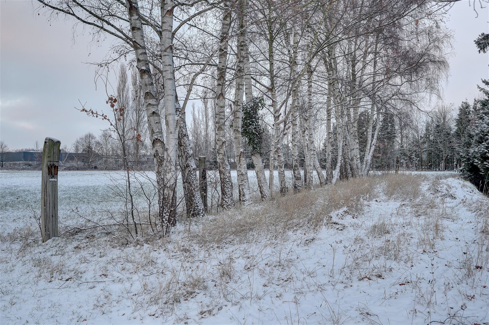 Idyllische paardenweide / bosgrond in Bonheiden foto 6