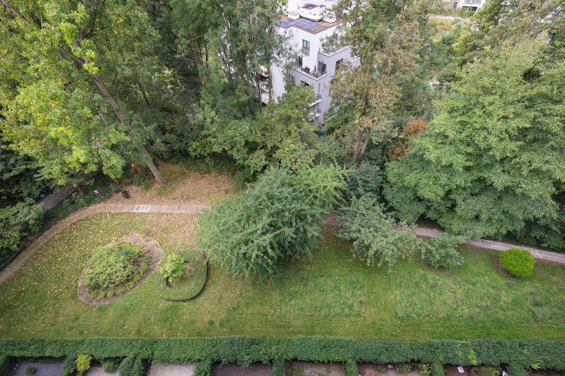 Ukkel: een frisse touch, een echte hartendief. foto 9