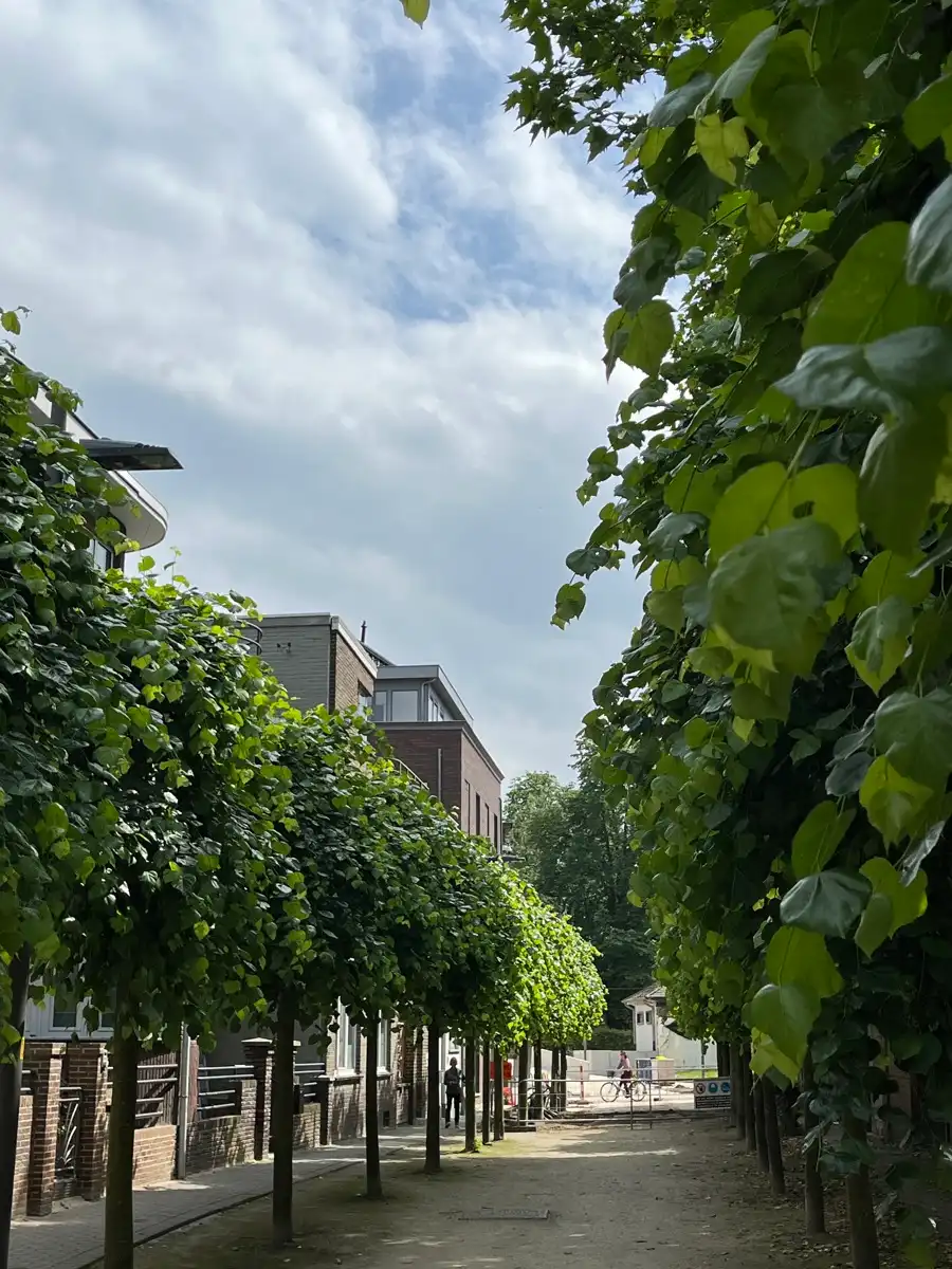 Verzorgde duplex met 1 slaapkamer en bureau foto 19