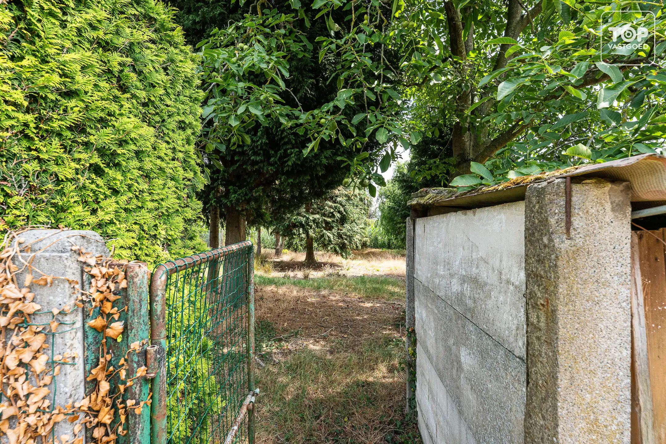 Rustig gelegen woning met ruime tuin, bos en prachtig open uitzicht foto 29