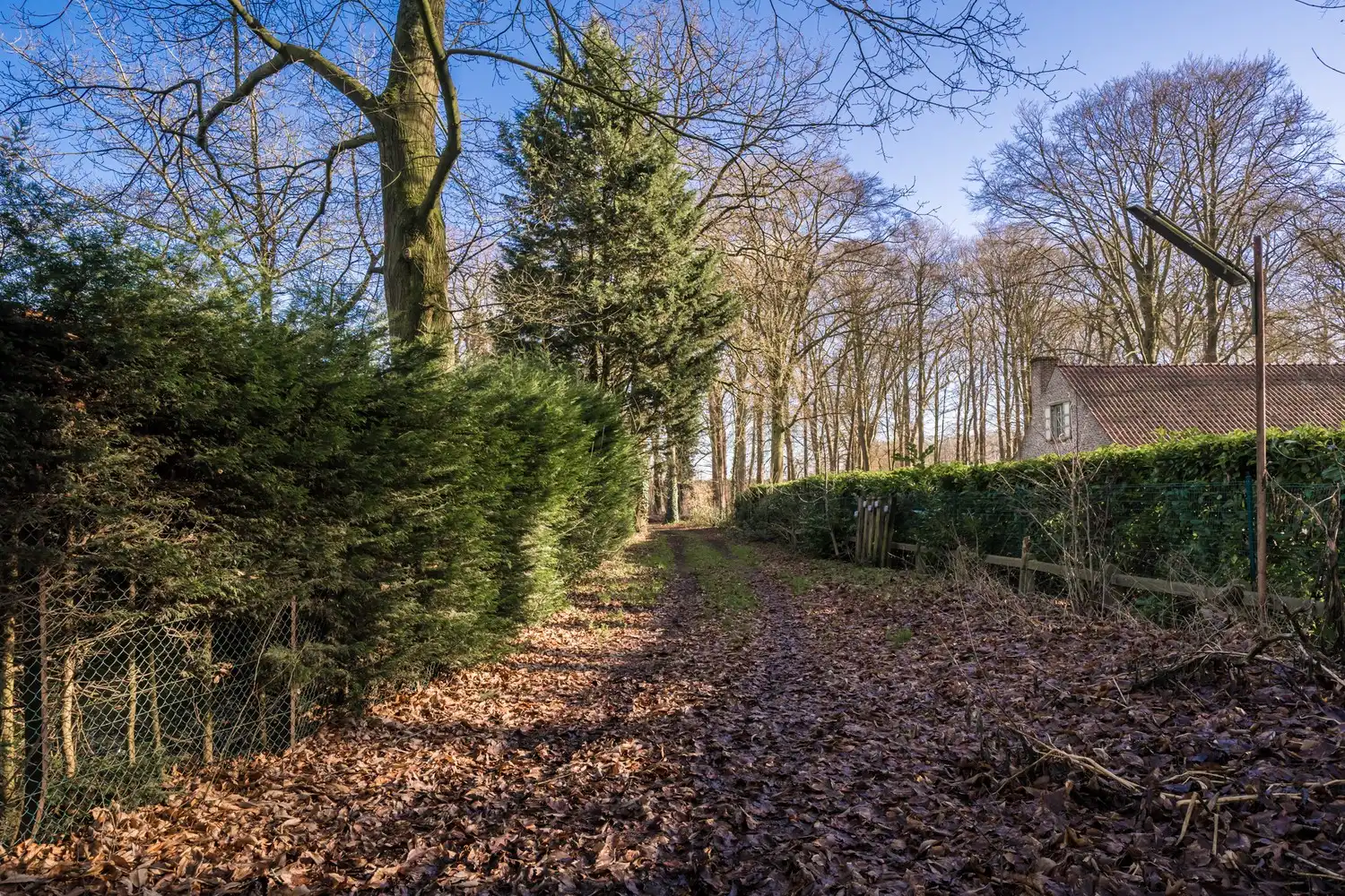 Exclusieve bouwgrond aan de Lembeekse Bossen! foto 6