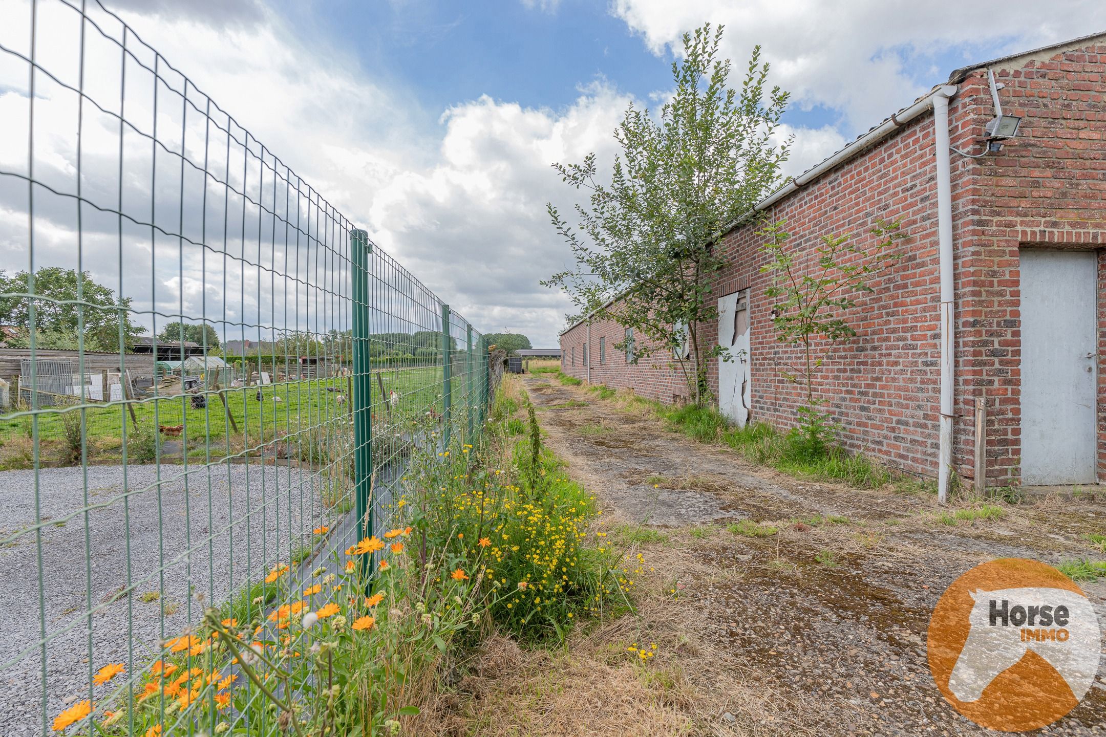 ERPE-MERE- WONING MET BIJGEBOUW OP 76a foto 5