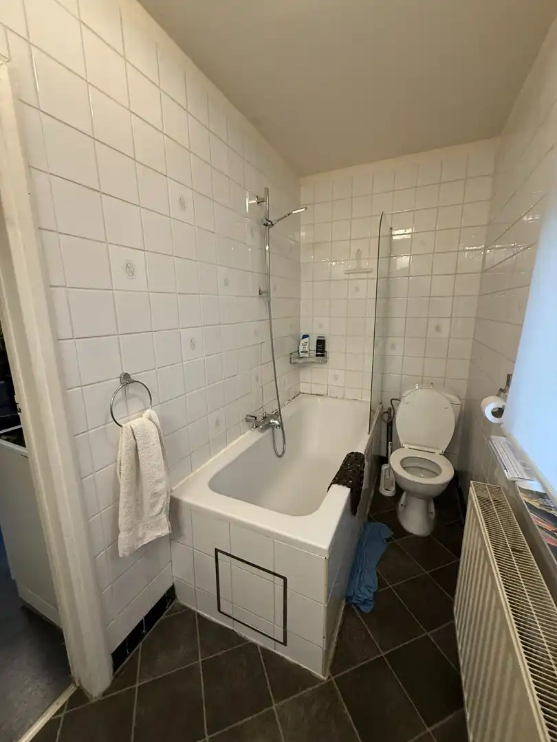 Opbrengsteigendom bestaande uit 2 halfopen woningen met garage en tuin te Hechtel. foto 8