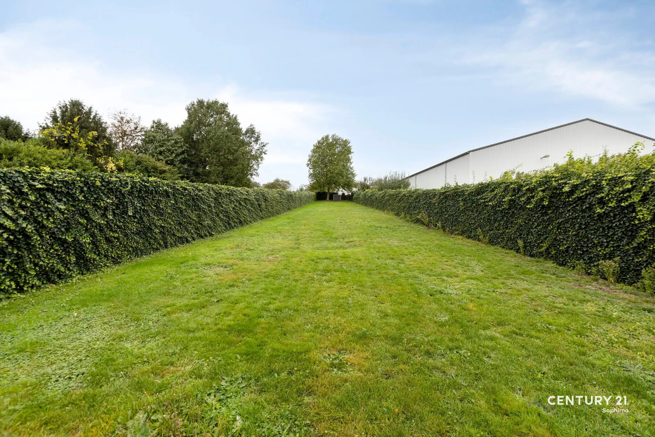 Instapklare woning met vier slaapkamers op perceel van 11a22 foto 30