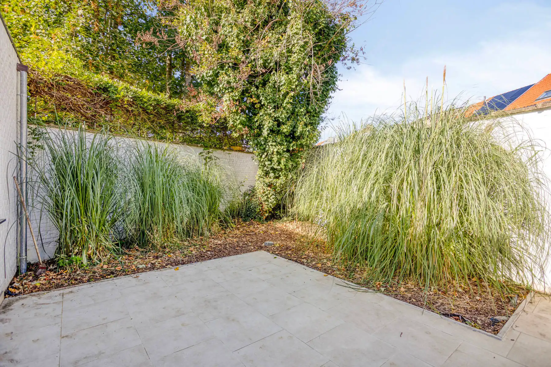 Nieuw kwartier studio met privatieve buitenruimte foto 3