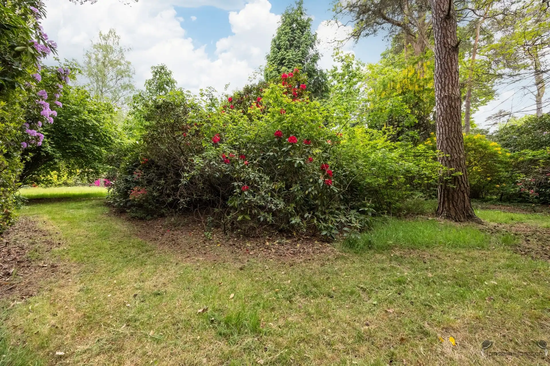 Karaktervolle cottage-villa op een royaal perceel van 8.603 m² in Kapellenbos. foto 23