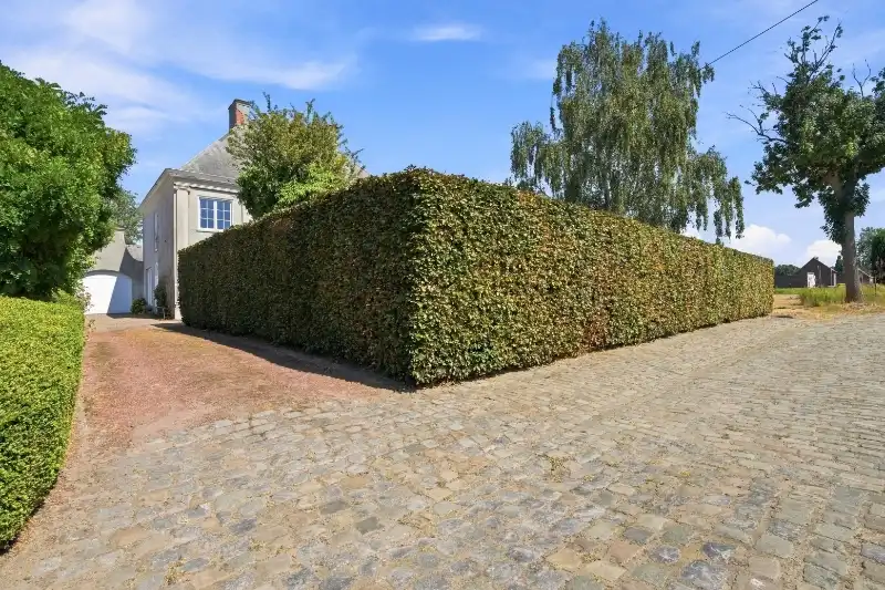 Villa foto 28