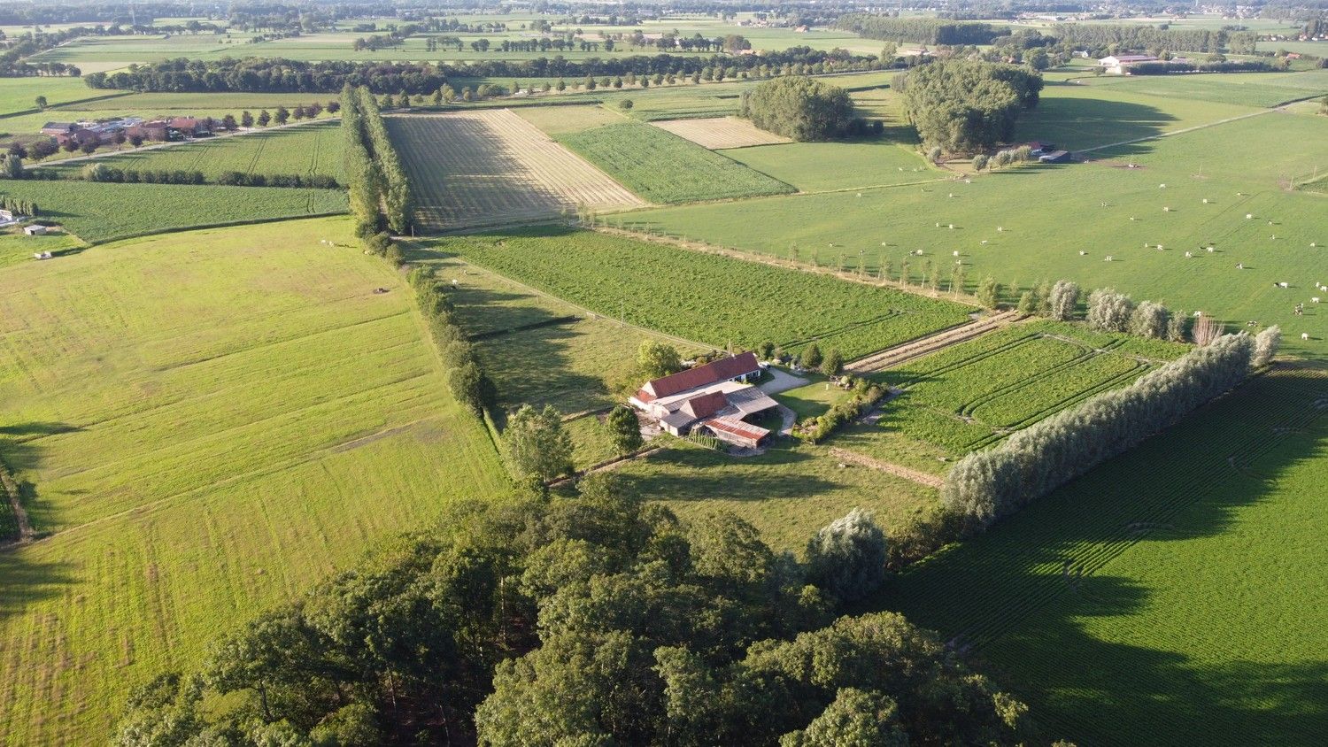 Hoeve met exclusieve ligging in valleigebied te koop te Maldegem foto 1