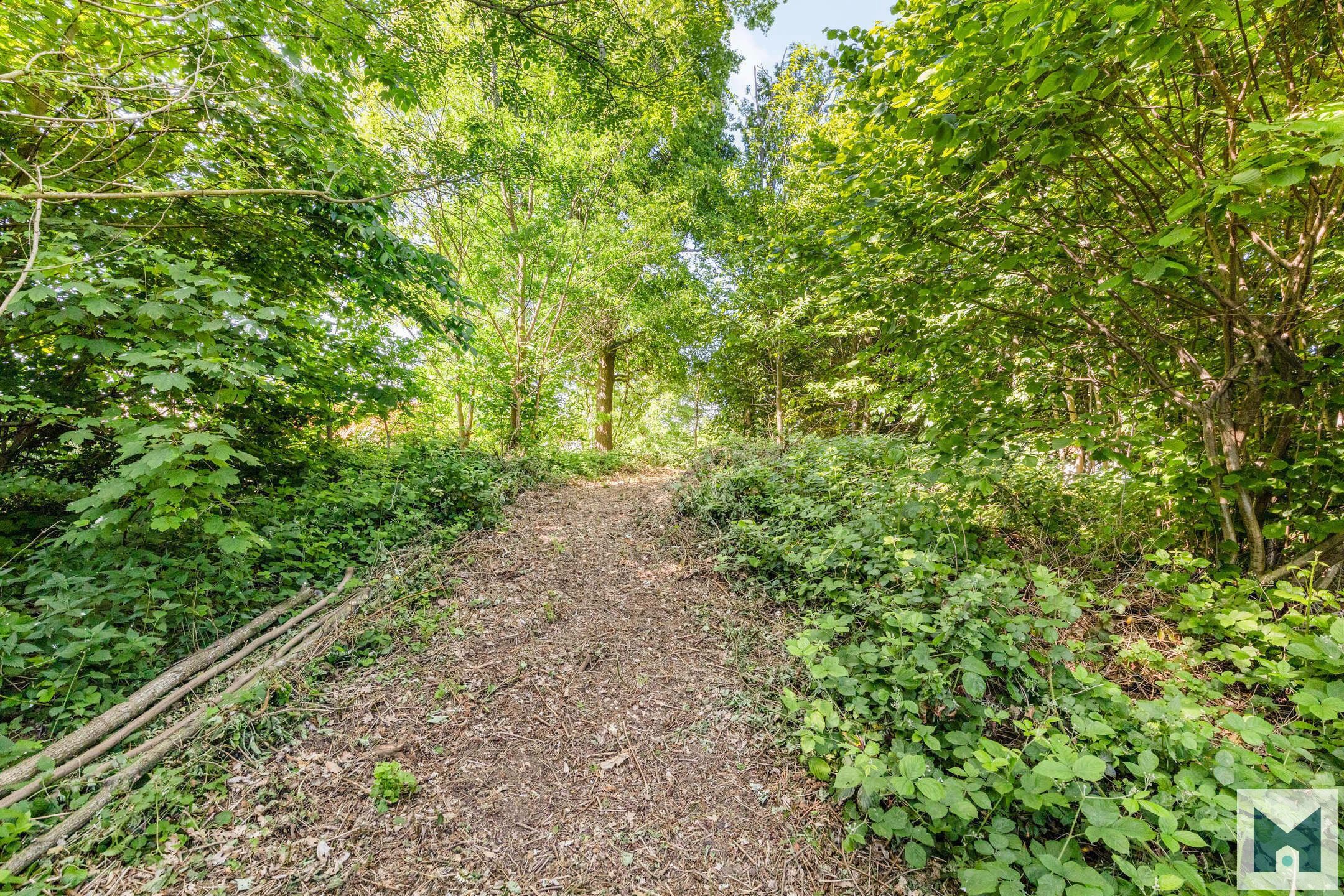 Prachtig perceel met mogelijkheid om te bouwen te Malderen! foto 4