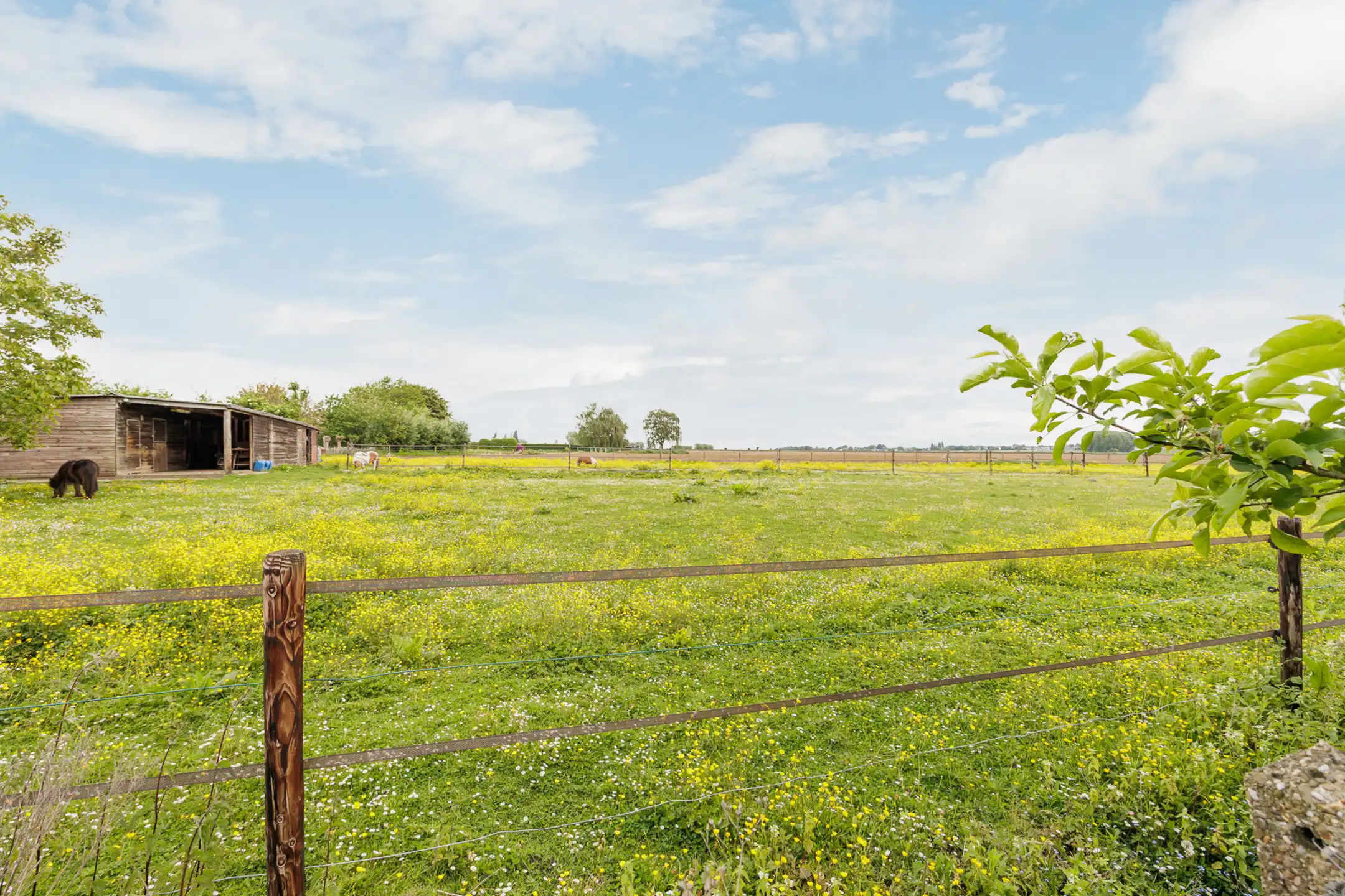 Charmante driegevelwoning met garage foto 18